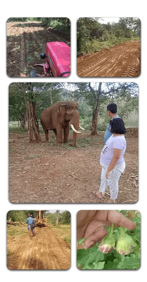 Riverside Resorts in Anaikatti