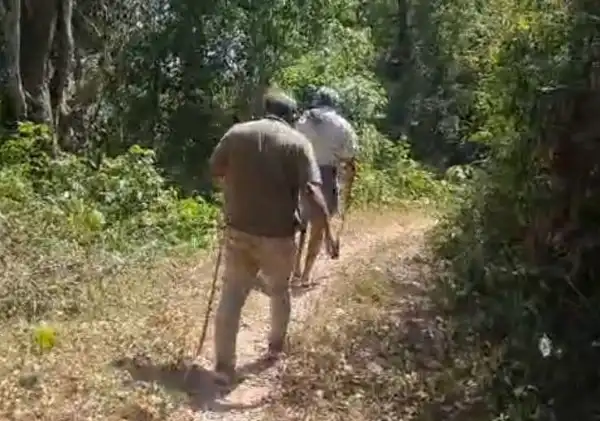 Best Place for Events Near Anaikatti