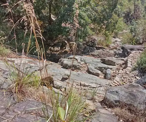 Riverside Resorts in Anaikatti