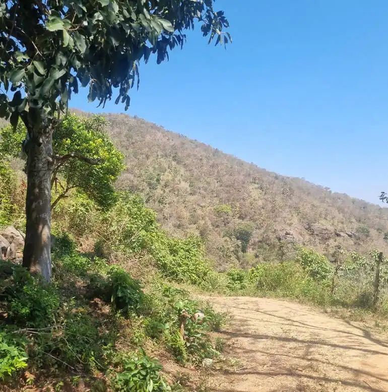 Jeep Safari Resort near Anaikatti