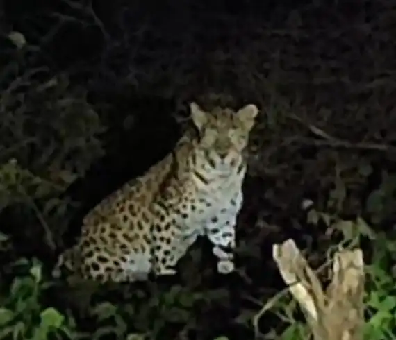 Riverside Resort in Anaikatti