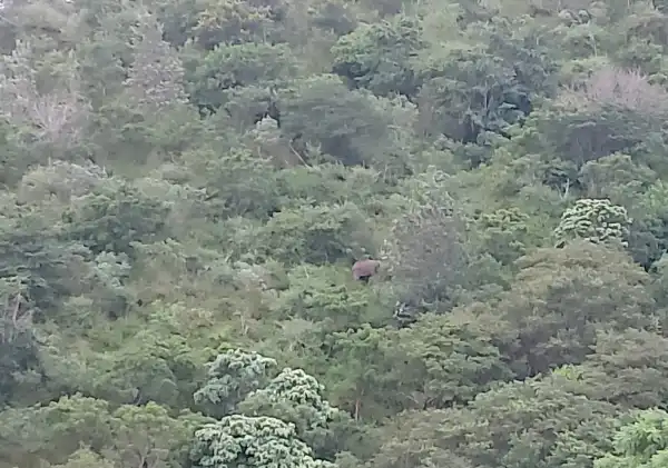 Resort with Bonfire in Anaikatti