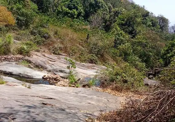 Barbecue Resort in Anaikatti