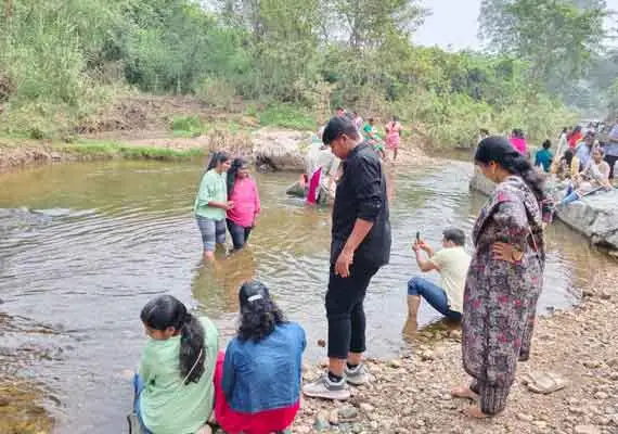 Resorts with Swimming Pool in Kerala