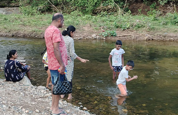 Resort inside forest in Anaikatti