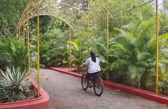 Resorts With Open Barbecue in Anaikatti