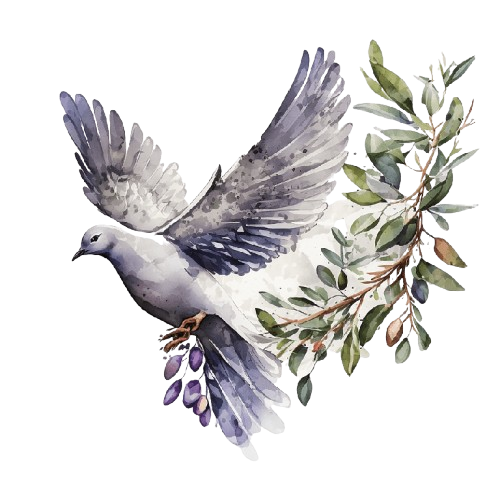 Best Resort Near Anaikatti