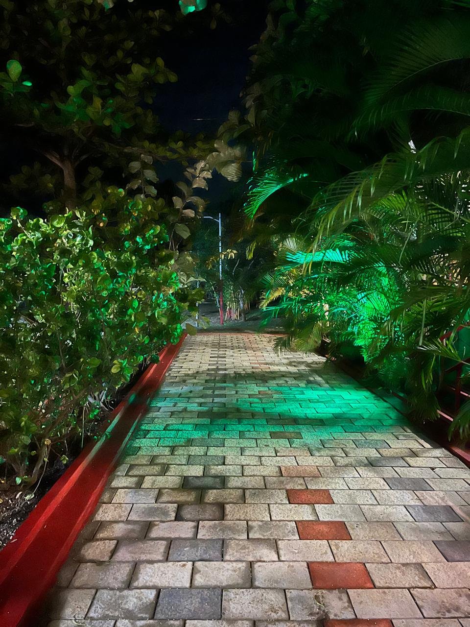 Resorts Near Anaikatti